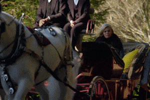 200.gif?cid=fc005b08b1b559cc1606c92b16d38e5eb977bf3c7cf81458&rid=200.gif&ct=g