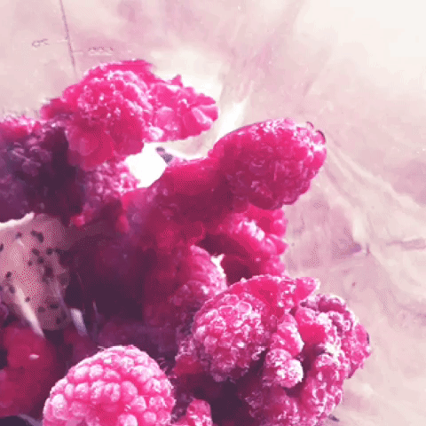 urbankid blender forest fruit GIF