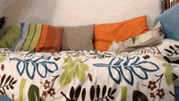 Bonne Nuit Mon Amour Gifs Get The Best Gif On Giphy Bonne Nuit Mon Amour Gifs Get The Best Gif On Giphy