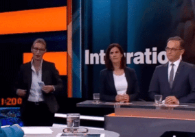 karen__71 alice talkshow afd mimimi GIF