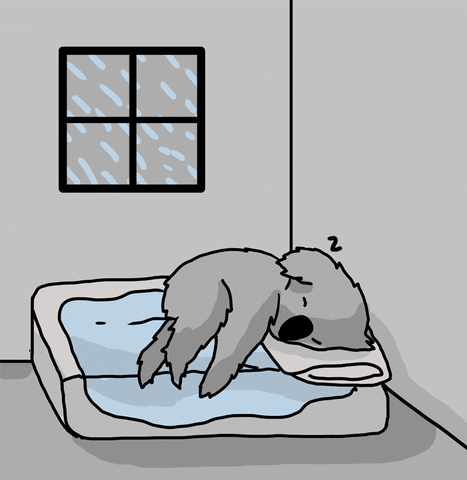 Illustrated gif. A koala sleeping on a mattress in a room below a window while it rains.