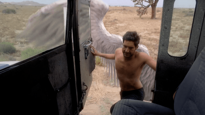 Find & Share on GIPHY