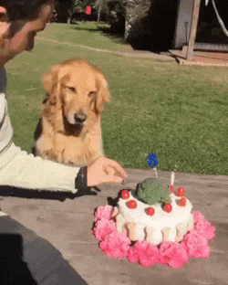 sauravbajaj  GIF