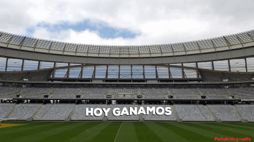 brendasandovalbarrientos futbol peru futbol peruano GIF