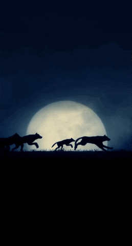 b3fb  GIF