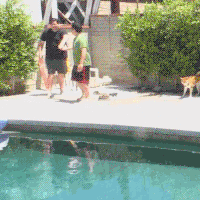 hrpg GIF by Hyper RPG