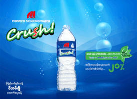 Pmgcrush GIF