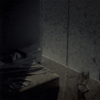 Raining Rainy Day GIF by Alastair Gray