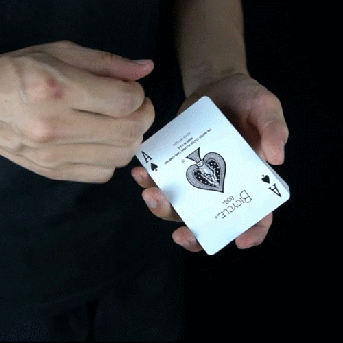 worldxm card magic memmo worldxm herrmann pass GIF