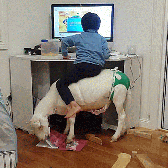 _junnguyen  GIF