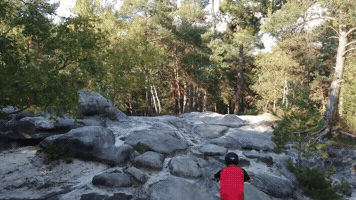adammercier  GIF