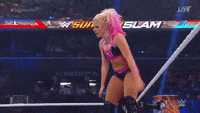 wwe  sports wwe wrestling GIF