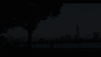 TheDigitaLook  GIF