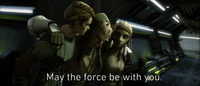 May The Force Be With Us Gifs Get The Best Gif On Giphy May The Force Be With Us Gifs Get The Best Gif On Giphy