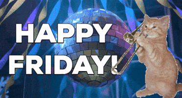 Cat Party GIF by Nebraska Humane Society