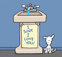 i love you lol GIF by Chippy the dog