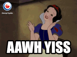 stimme GIF by Omrop Fryslân