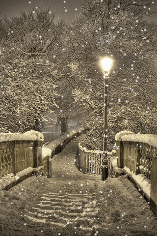 vickichapmanviolette snow winter park street light GIF