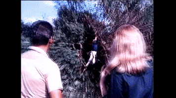 somethingweirdvideo horror exploitation something weird video mike vraney GIF