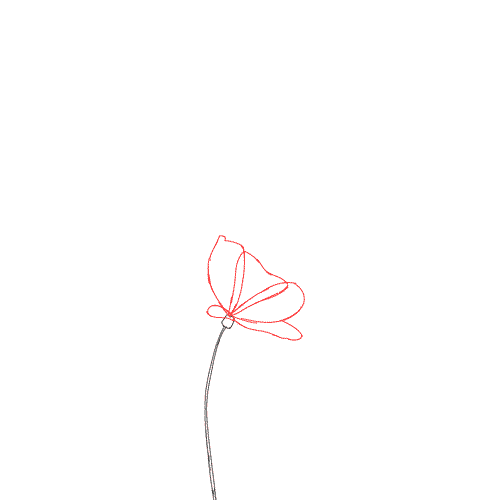 Image result for flower gif