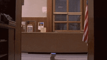 szainabwilliams books library cartwheel parker posey GIF