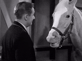 200.gif?cid=60e32e67nrlqj6bkvo98rfl6su41