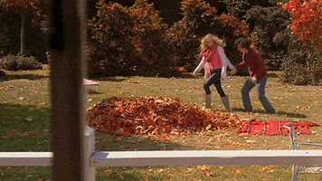 Frolicking The Middle GIF by ABC Network