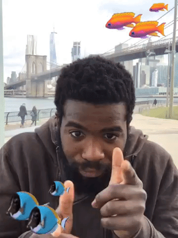 Framebeta GIF by StevieTurnsOne