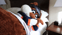 Hockey Mascot GIF by Greenville Swamp Rabbits - Find & Share on GIPHY