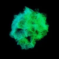 SamuelC music design loop rainbow GIF