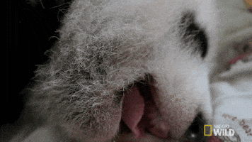 200.gif?cid=f0bdee70ypuljey74y1sqojpm0qiveuglv7ipgg7wbkgk4ck&rid=200.gif&ct=g