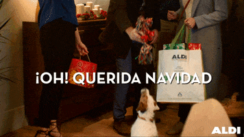 Ad gif. People hold Christmas gifts in a home entryway, and the middle person taunts a dog with a gift, making the dog jump up and down. Text, "Oh! Querida navidad."