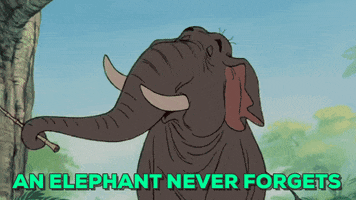 Jungle Book An Elephant Never Forgets GIF by chuber channel ...