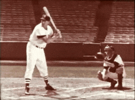 rbi baseball hitting ted williams GIF