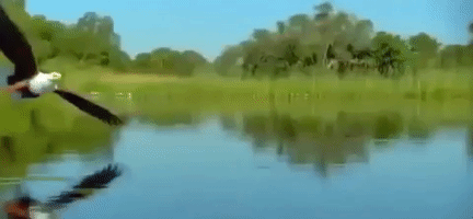 200.gif?cid=fc005b08f959b808ceb9a0071597b04b37ed53ae2fc22132&rid=200.gif&ct=g