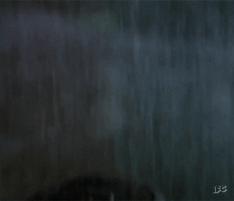 IFC sylvester stallone rambo GIF