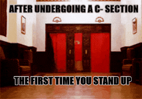 cynicat  GIF