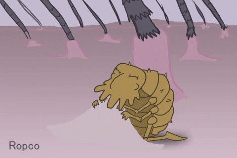 Don Ropco animated GIF