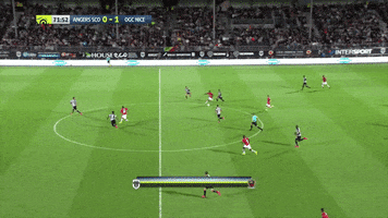 ridhapaix  GIF