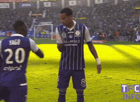 celebrate ligue 1 GIF by Toulouse Football Club