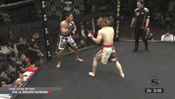 vitaliykostyrenko shooto zst keisuke fujiwara GIF