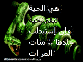 aljoundyroses wisdom snake GIF