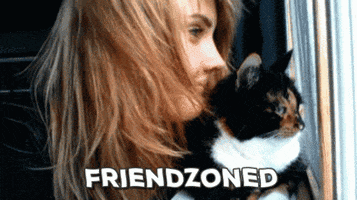 touc cat friendzoned GIF