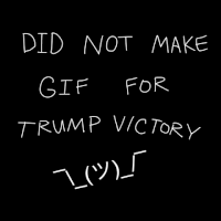 voting donald trump GIF by AOK