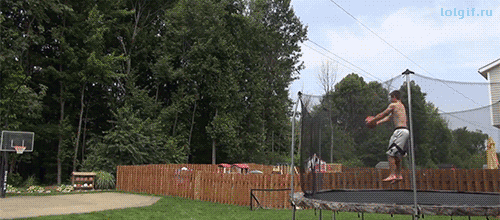 giphy.gif
