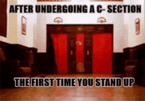 cynicat  GIF