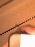 200.gif?cid=fc005b081319292660ab50748dfc3e7acff5b09c98fb931d&rid=200.gif&ct=g