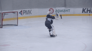 vinalapkes russianhockey GIF