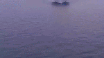jesusleon  GIF