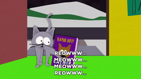 Cats Meowing Mr Kitty Gif By South Park - Find & Share On Giphy